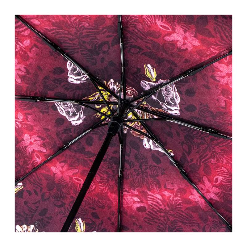 zemsa-27765-image-4